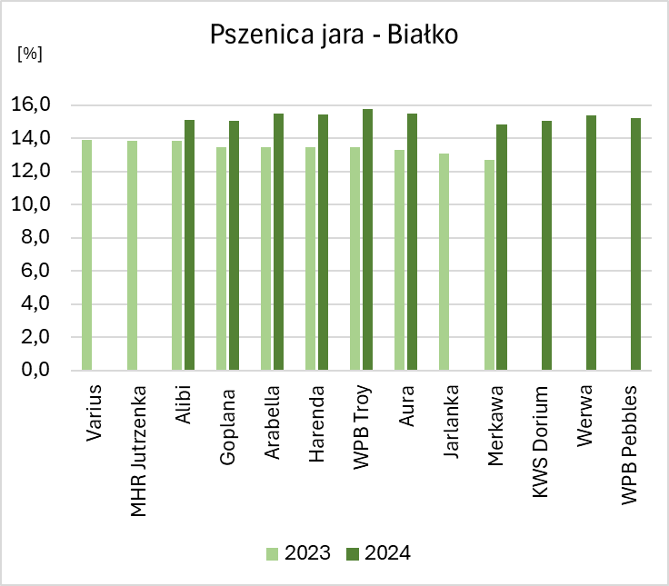 Wykres przedstawia zawartość białka w 10 badanych odmianach pszenicy jarej w 2 latach badań. Zawartość białka w ziarnie pszenicy jarej dla badanych odmian mieściła się w przedziale od 12,7% (Merkawa) do 13,9% (Varius) w 2023 roku, natomiast w 2024 roku od 14,9% (Merkawa) do15,8% (WPB Troy). Wszystkie odmiany posiadała wyższą zawartość białka w ziarnie zebranym w 2024 roku. Najwyższa różnica wystąpiła dla odmiany WPB Troy, dla której zawartość białka w 2023 roku była wyższa o 2,3%. Najniższa natomiast dla odmiany Alibi (1,3%).